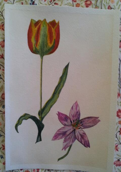 watercolour -  Two flower study