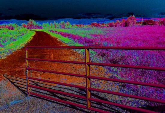 gate to the rust colored road