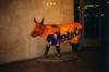 Metro Cow (2000)
