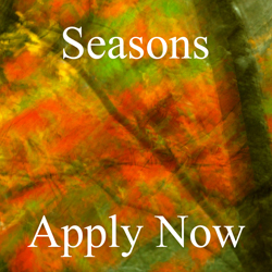 Seasons Art Competition - www.lightspacetime.com