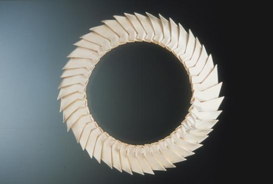 carapace bracelet