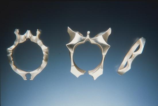 Bone Rings